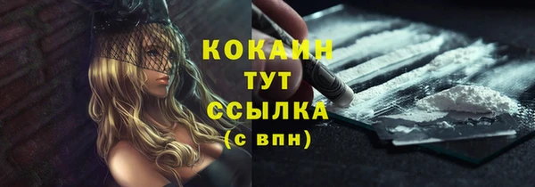 PSILOCYBIN Карпинск